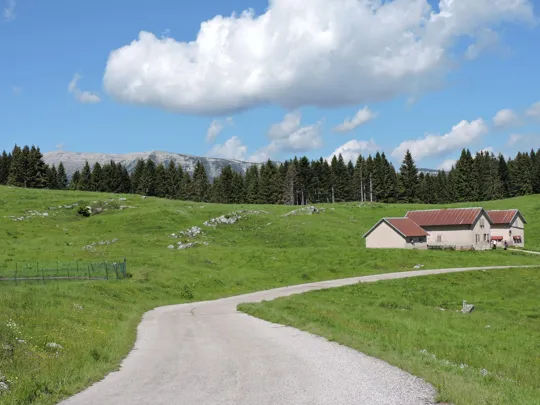 Arrivo a malga Mandrielle