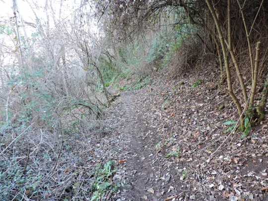 Dettagli del sentiero