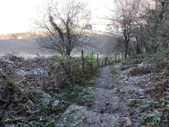 Dettagli del sentiero