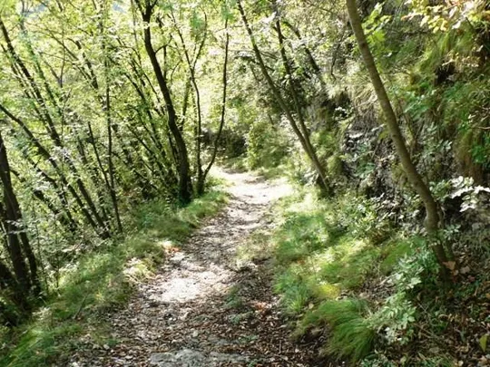 Castello di Meda - il sentiero