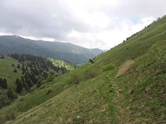 M.Grappa - sentiero 849