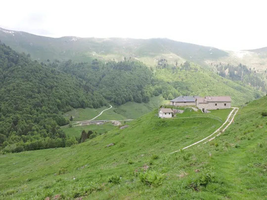 M.Grappa - malga Camparoneta