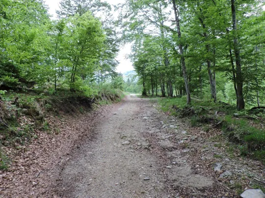 M.Grappa - Valle delle Mure