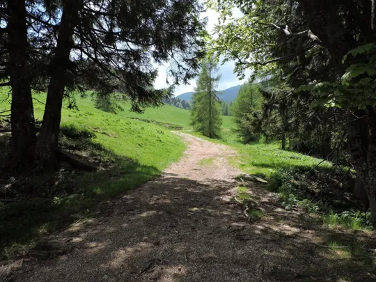 M.Grappa - Valle delle Mure