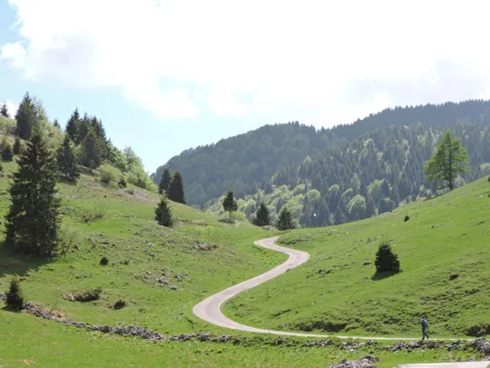 M.Grappa - Valle delle Mure