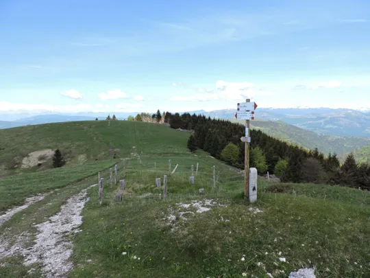 Monte Asolone - Col della Beretta - inizio del sentiero