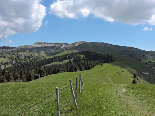 Cima Grappa visto dal monte Coston