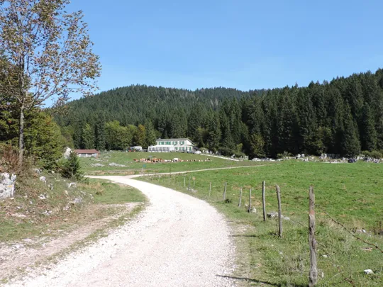 Inizio del percorso verso la malga