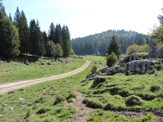 Dettaglio del percorso