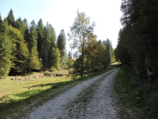 Dettaglio del percorso