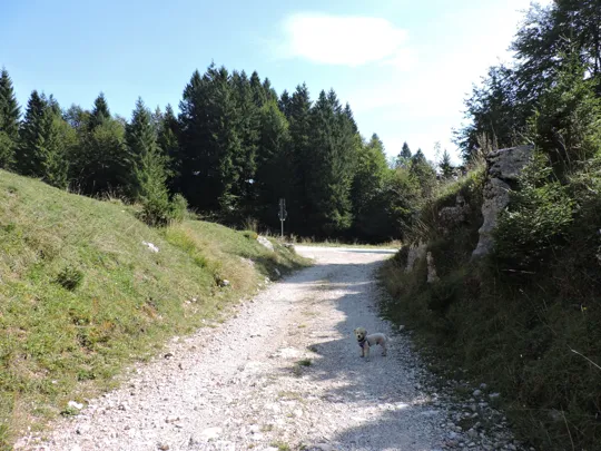 Imbocco alla strada principale