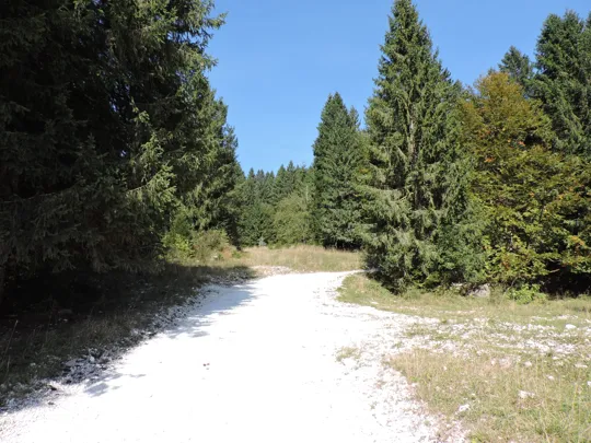 Dettaglio prima del curvone, si procede dritto