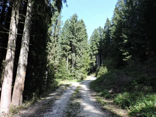 Dettaglio del percorso