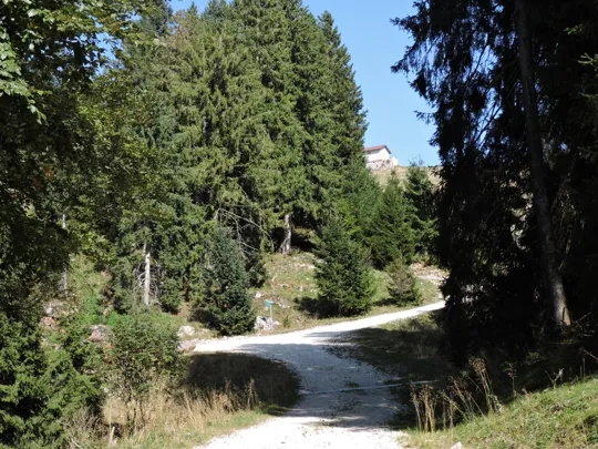 Incrocio per la malga