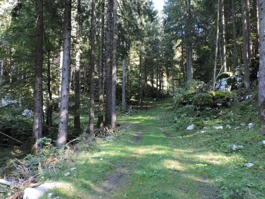 Dettaglio del percorso