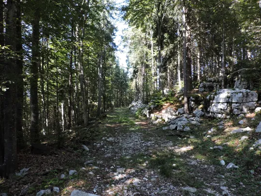 Dettaglio del percorso