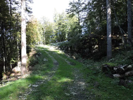 Dettaglio del percorso