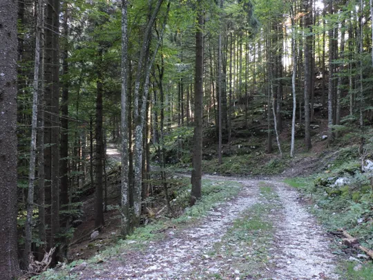 Dettaglio del percorso