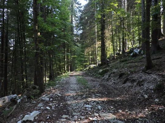 Dettaglio del percorso