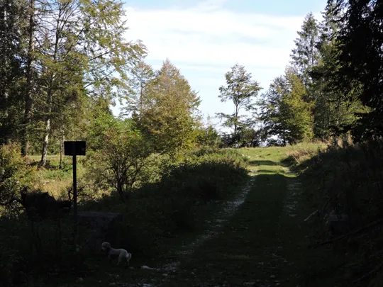 Verso la fine della strada
