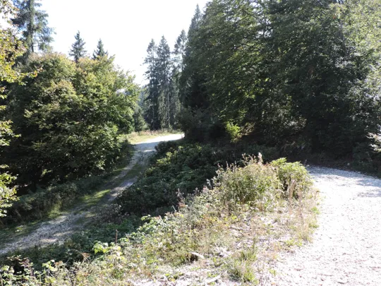 Successivo incrocio, si procede a destra