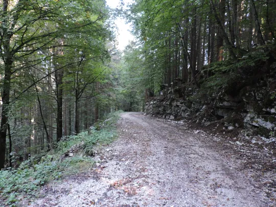 Dettaglio del percorso