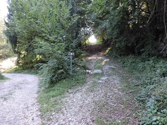 Dettaglio dell'incrocio, direzione GG1 a destra