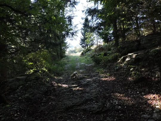 Dettaglio del percorso