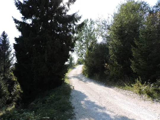 Dettaglio del percorso