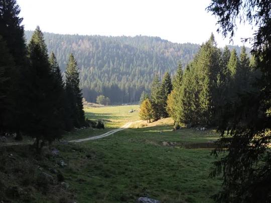 La valletta della malga Camporossignolo