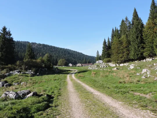 Malga Camporossignolo