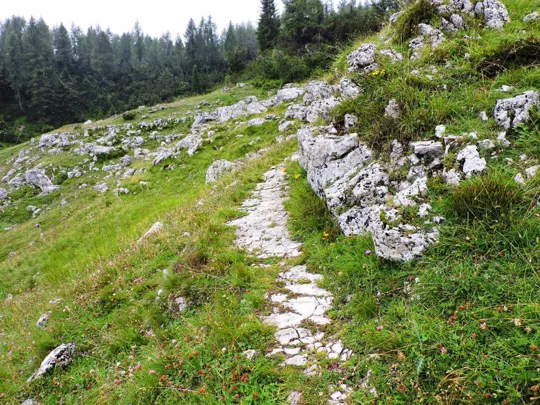 Dettaglio del sentiero