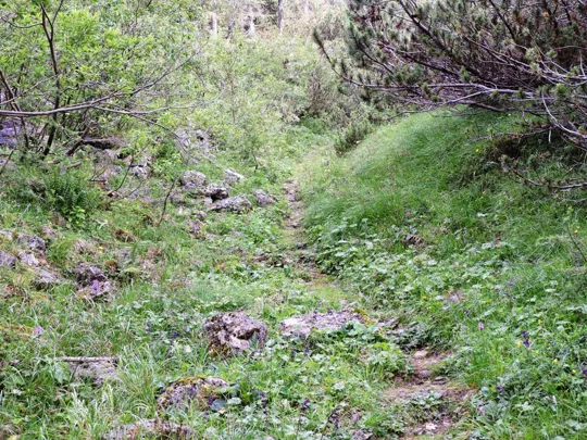 Dettaglio del sentiero