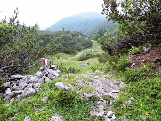 Dettaglio del sentiero