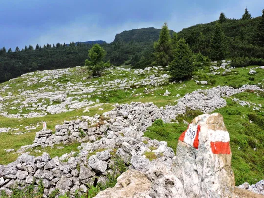 Dettaglio del sentiero