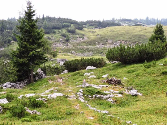 Dettaglio del sentiero