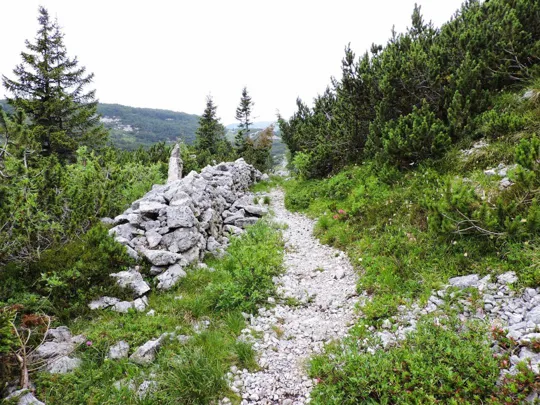 Dettaglio del sentiero