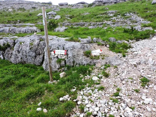 Si fa quel che si può per indicare la strada