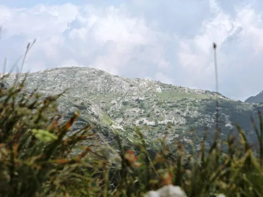 Vista verso l'Ortigara