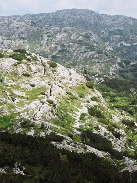 Trinceramenti verso l'Ortigara