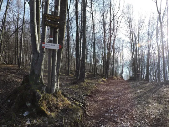 Monte Cimone - inizio della Strada degli Alpini