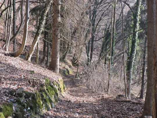 Monte Cimone - Strada degli Alpini