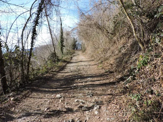 Strada verso la fonte