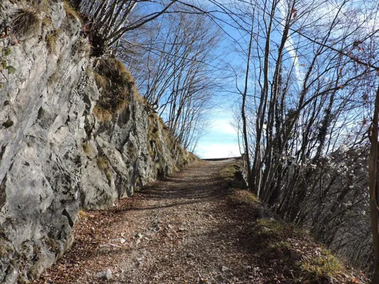 Strada verso la cima
