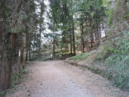 Ultimo tornante e incrocio per il sentiero del Sentinello