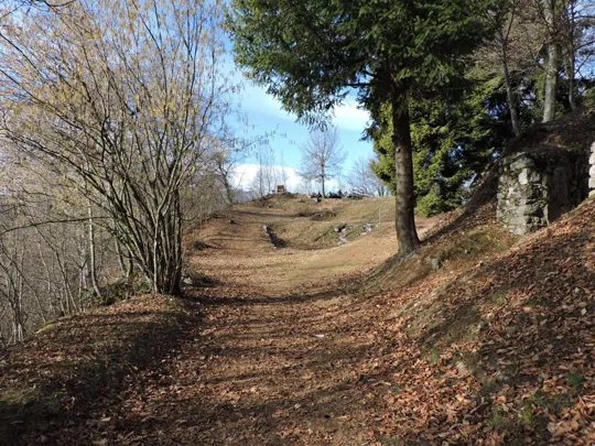 Strada oltre la baita