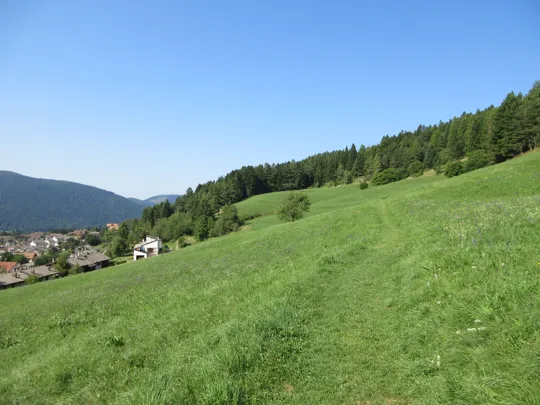 Dettaglio del sentiero sopra Costa