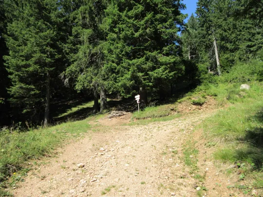Uscita dalla strada verso il Salt de la Volp