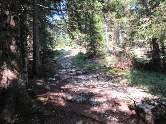 Proseguire a sinistra