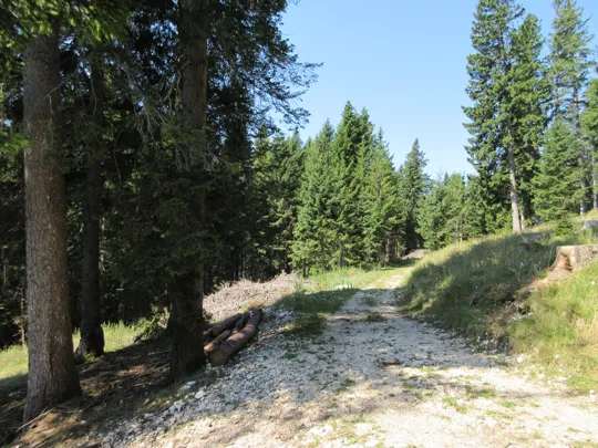 Dettaglio del percorso